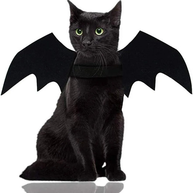 Cat bat wings safety harness Halloween costume